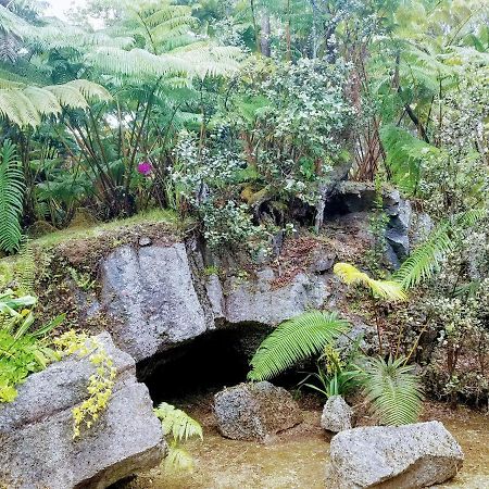 'Ama'U Lani Cottage Volcano Extérieur photo