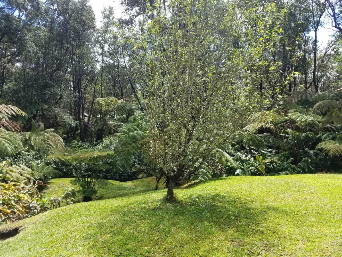 'Ama'U Lani Cottage Volcano Extérieur photo