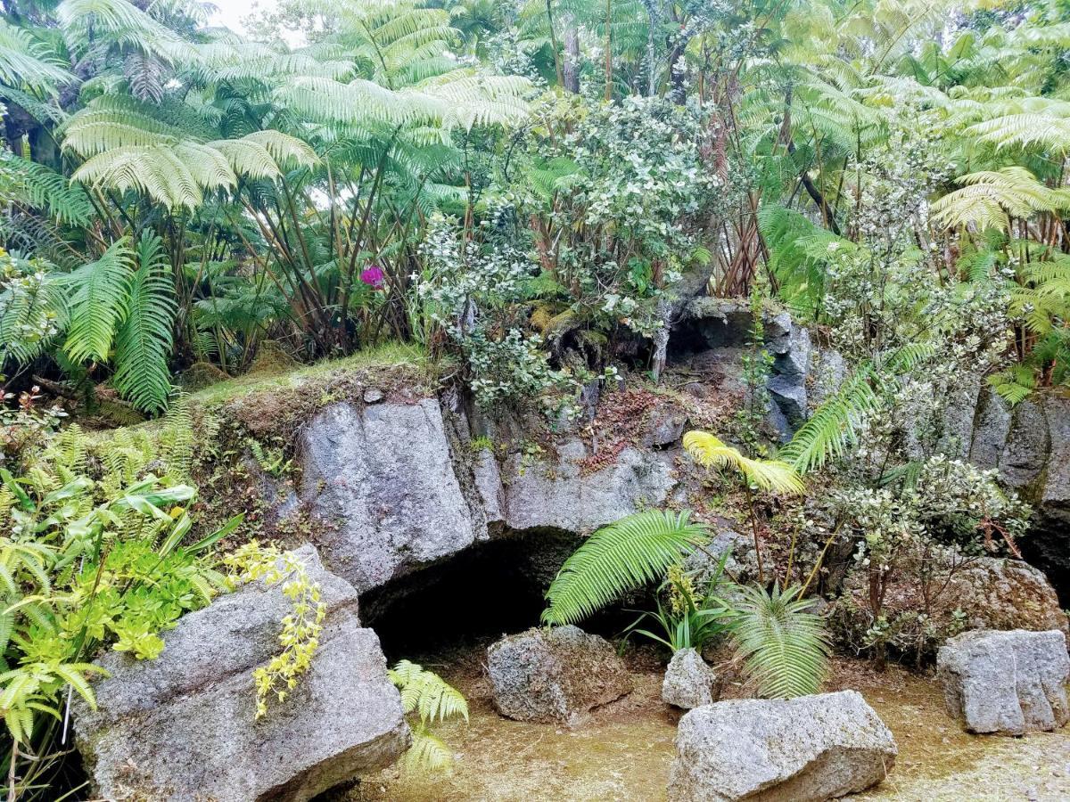 'Ama'U Lani Cottage Volcano Extérieur photo