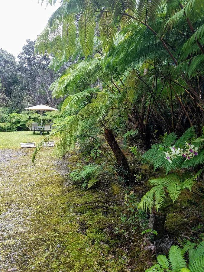 'Ama'U Lani Cottage Volcano Extérieur photo